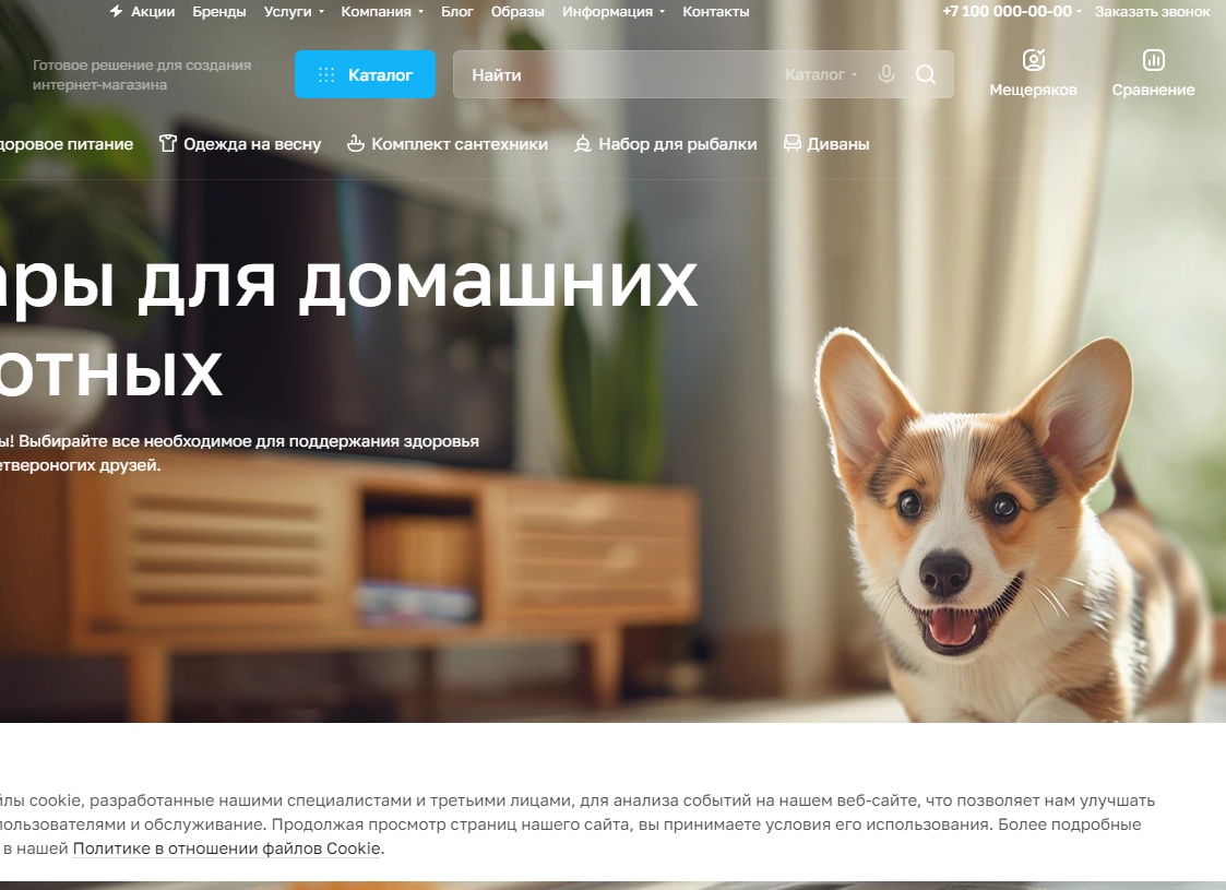 Смотрите и выбирайте на нашем сайте сегодня самый востребованный ассортимент женского гардероба – модные новинки цветного денима